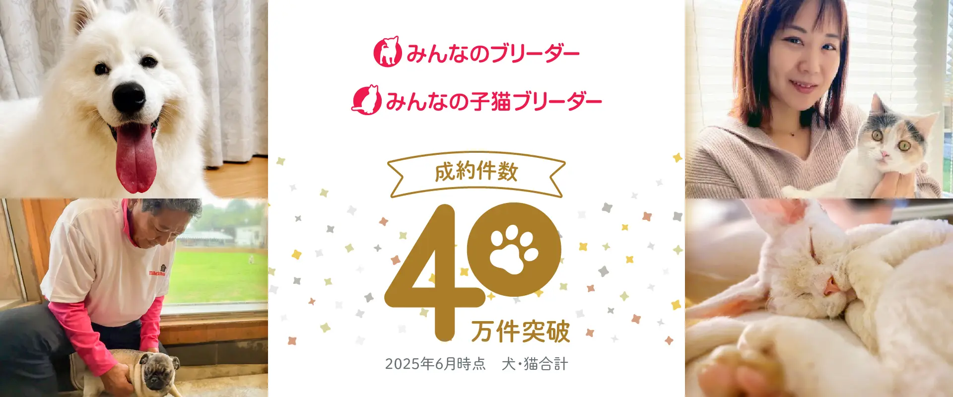 『みんなのブリーダー』『みんなの子猫ブリーダー』の成約件数が40万件を突破