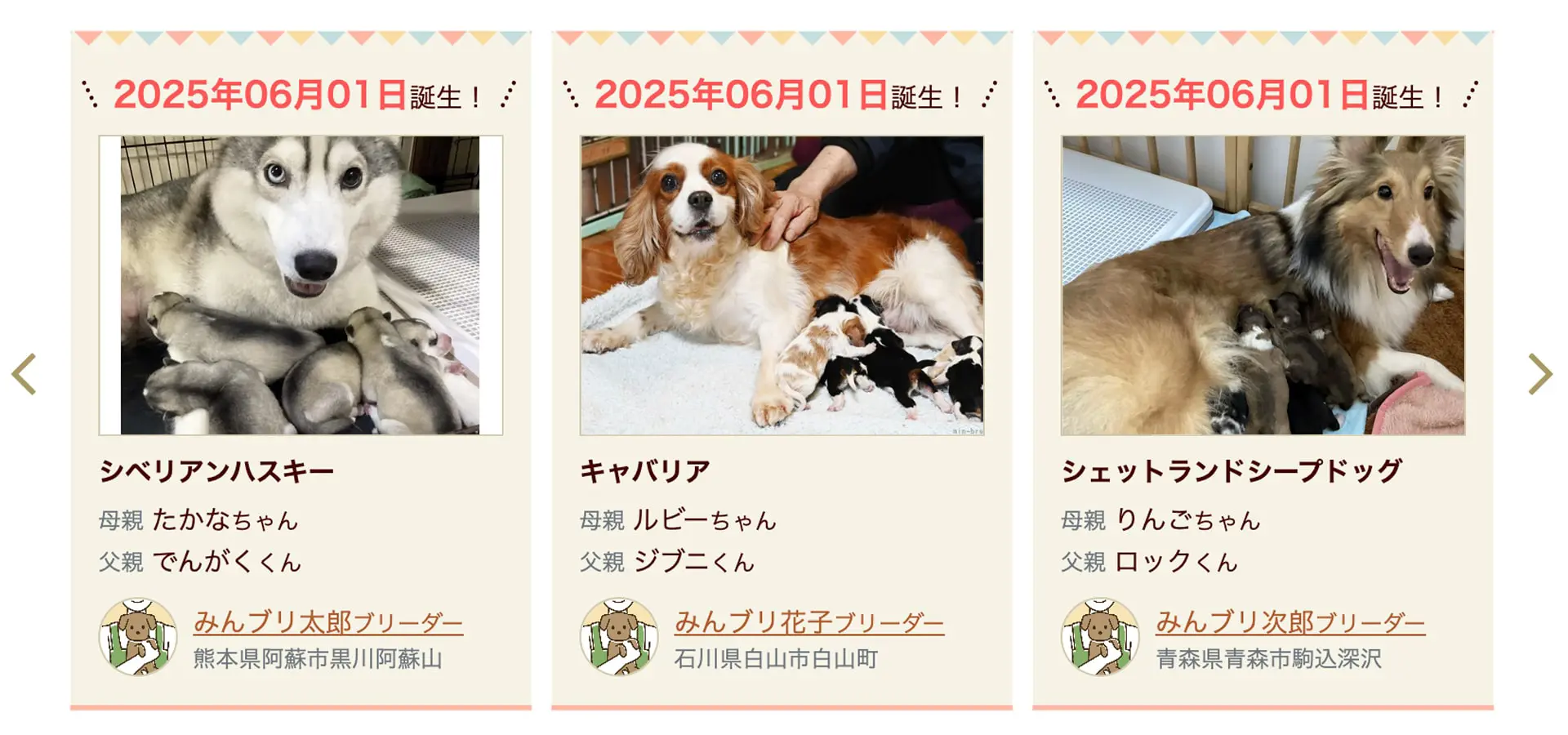 出生報告機能で「見えるブリーディング」文化定着を後押し